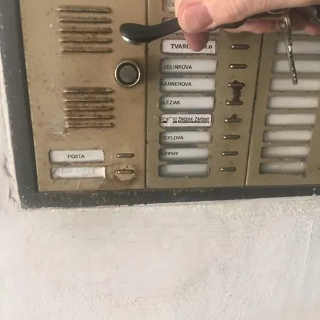 Mira 7